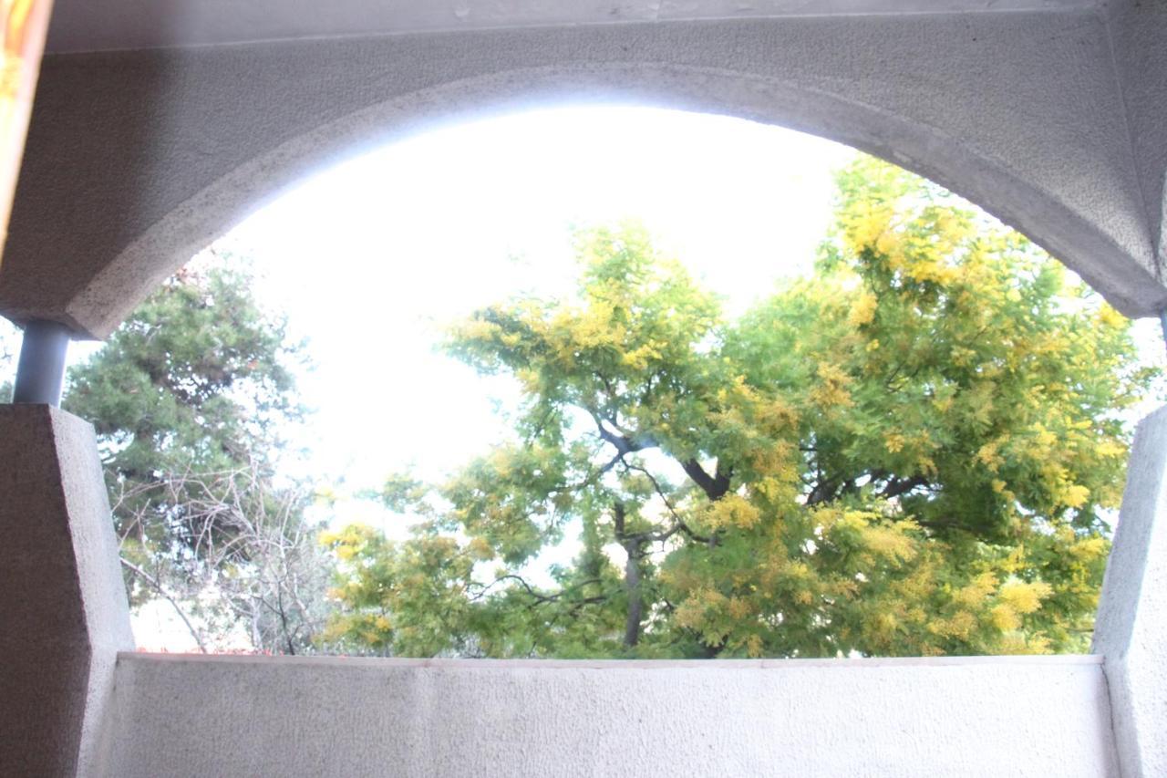 Ari B&B Montesilvano Marina Dış mekan fotoğraf