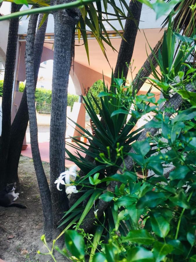 Ari B&B Montesilvano Marina Dış mekan fotoğraf